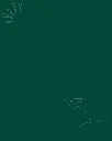 green back.webp